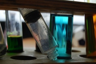 zdjęcie zrobione w ramach kołach fotograficznego