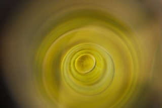 zdjęcie zrobione w ramach kołach fotograficznego