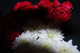 zdjęcie zrobione w ramach kołach fotograficznego