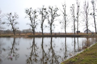 zdjęcie zrobione w ramach kołach fotograficznego