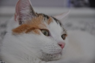 zdjęcie zrobione w ramach kołach fotograficznego