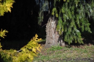 zdjęcie zrobione w ramach kołach fotograficznego