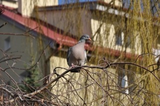 zdjęcie zrobione w ramach kołach fotograficznego