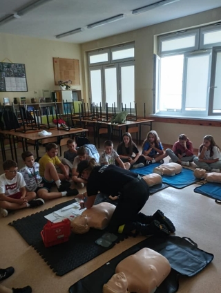 udział w PPP - różne moduły