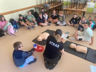 udział w PPP - różne moduły