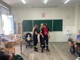 udział w PPP - różne moduły