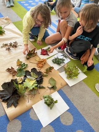 Dzieci robią zielnik