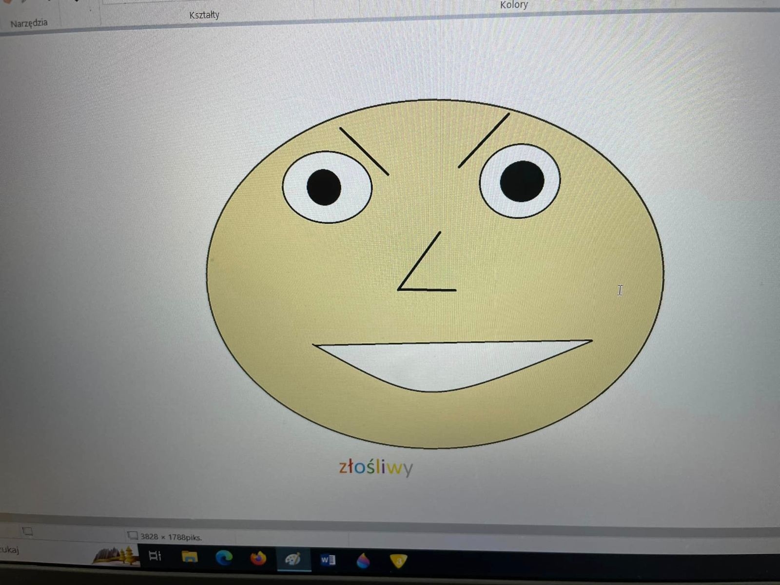 projekt komputerowy