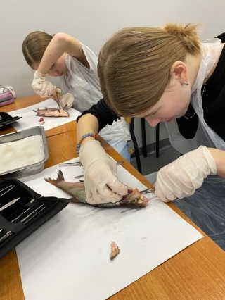 uczestnicy koła wykonują sekcję ryby