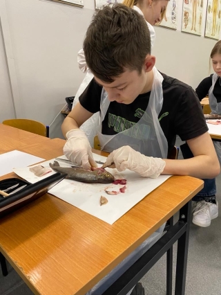 uczestnicy koła wykonują sekcję ryby