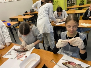 uczestnicy koła wykon7ją sekcję ryby