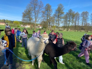 Dzieci z alpaką