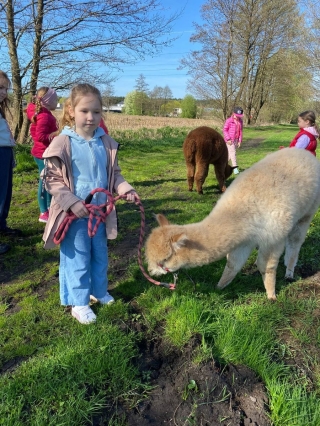 Dzieci z alpaką