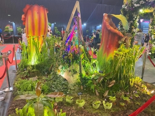 na wystawie kwiatów