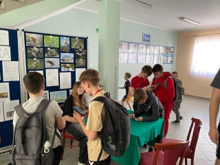 podczas rozwiązywania eko-gry