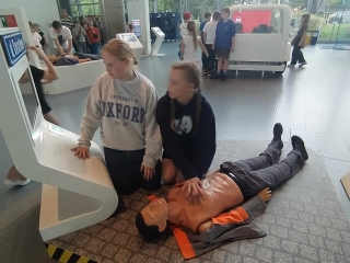 podczas rozwiązywania zagadek kryminalnych