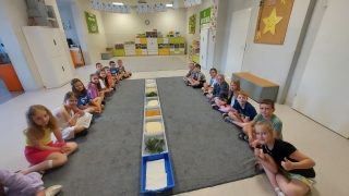 ścieżka sensoryczna