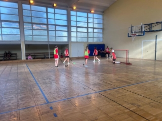 podczas gry w unihokeja