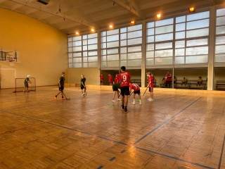 podczas gry w unihokeja