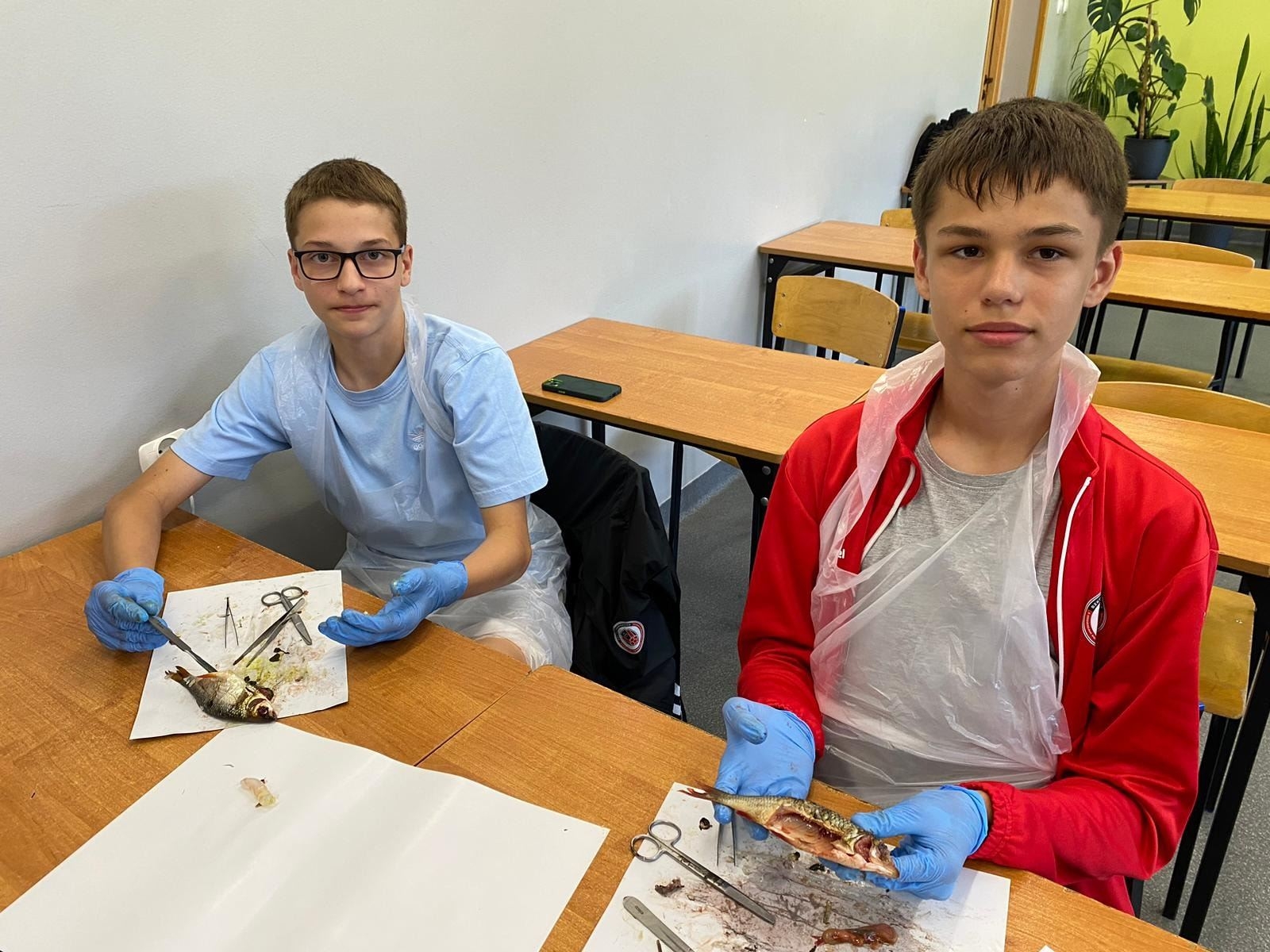 uczniowie klas 7 koła biologicznego na zajęciach