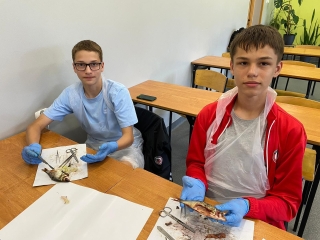 uczniowie klas 7 koła biologicznego na zajęciach