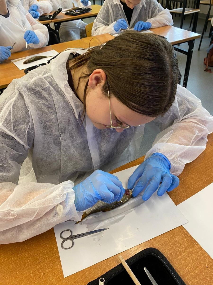 uczniowie klas 7 koła biologicznego na zajęciach