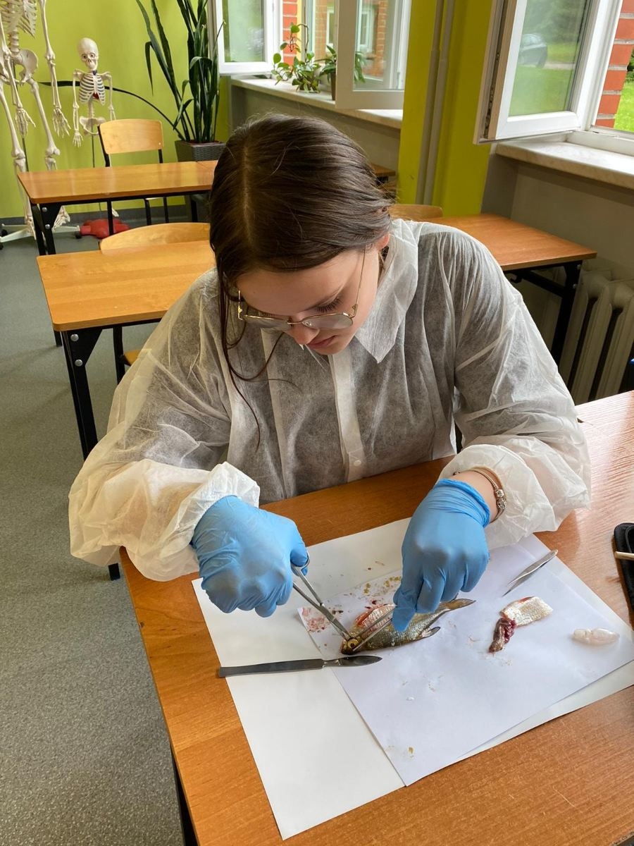 uczniowie klas 7 koła biologicznego na zajęciach