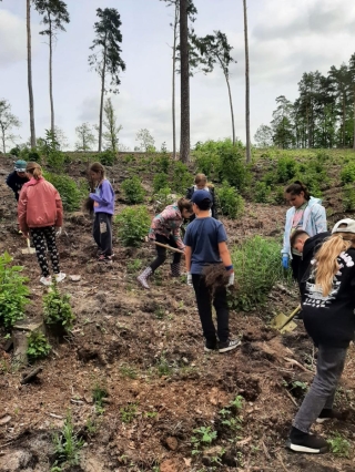 uczniowie sadzą drzewka