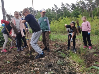 uczniowie sadzą drzewka