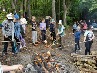 ognisko - pieczenie kiełbasek