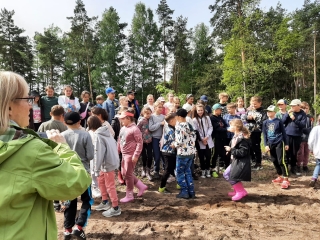 w oczekiwaniu na instrukcje